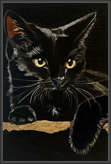 Black Cat